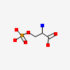 an image of a chemical structure SID 316409986