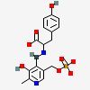 N-({3-hydroxy-2-methyl-5-[(phosphonooxy)methyl]pyridin-4-yl}methyl)-L-tyrosine