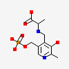 2-{[(E)-{3-hydroxy-2-methyl-5-[(phosphonooxy)methyl]pyridin-4-yl}methylidene]amino}prop-2-enoic acid