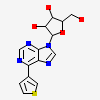 9-beta-D-ribofuranosyl-6-(thiophen-3-yl)-9H-purine