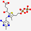 (4S)-4-{3-[(4-amino-2-methylpyrimidin-5-yl)methyl]-5-(2-{[(S)-hydroxy(phosphonooxy)phosphoryl]oxy}ethyl)-4-methyl-1,3lambda~5~-thiazol-2-yl}-4-hydroxybutanoic acid