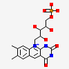 1-deoxy-1-(7,8-dimethyl-2,4-dioxo-3,4-dihydropyrimido[4,5-b]quinolin-10(2H)-yl)-5-O-phosphono-D-ribitol