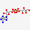 [[(2R,3S,4R,5R)-5-(6-aminopurin-9-yl)-3,4-bis(oxidanyl)oxolan-2-yl]methoxy-oxidanyl-phosphoryl] [(2R,3R)-2,3,5-tris(oxidanyl)-4-oxidanylidene-pentyl] hydrogen phosphate