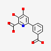 6-(3-carboxyphenyl)-3-hydroxy-4-oxo-1,4-dihydropyridine-2-carboxylic acid