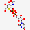 (2S,3R,4R,5S,6R)-3-(acetylamino)-4,5-dihydroxy-6-(hydroxymethyl)tetrahydro-2H-thiopyran-2-yl [(2R,3S,4R,5R)-5-(2,4-dioxo-3,4-dihydropyrimidin-1(2H)-yl)-3,4-dihydroxytetrahydrofuran-2-yl]methyl dihydrogen diphosphate