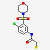 2-chloro-N-{4-chloro-3-[(morpholin-4-yl)sulfonyl]phenyl}acetamide