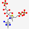 2-C-{3-[(4-amino-2-methylpyrimidin-5-yl)methyl]-5-(2-{[(R)-hydroxy(phosphonooxy)phosphoryl]oxy}ethyl)-4-methyl-1,3-thiazol-3-ium-2-yl}-6-O-phosphono-D-glucitol