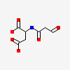 (2~{Z})-2-(1-oxidanyl-3-oxidanylidene-propyl)iminobutanedioic acid