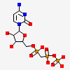 5'-O-[(S)-hydroxy{[(S)-hydroxy(phosphonooxy)phosphoryl]methyl}phosphoryl]cytidine