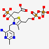 (4~{S})-4-[(2~{R})-3-[(4-azanyl-2-methyl-pyrimidin-5-yl)methyl]-4-methyl-5-[2-[oxidanyl(phosphonooxy)phosphoryl]oxyethyl]-2~{H}-1,3-thiazol-2-yl]-4-oxidanyl-4-phosphono-butanoic acid