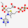 (4~{S})-4-[(2~{R})-3-[(4-azanyl-2-methyl-pyrimidin-5-yl)methyl]-4-methyl-5-[2-[oxidanyl(phosphonooxy)phosphoryl]oxyethyl]-2~{H}-1,3-thiazol-2-yl]-4-[ethoxy(oxidanyl)phosphoryl]-4-oxidanyl-butanoic acid