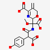 (2R)-2-((R)-CARBOXY{[CARBOXY(4-HYDROXYPHENYL)ACETYL]AMINO}METHOXYMETHYL)-5-METHYLENE-5,6-DIHYDRO-2H-1,3-OXAZINE-4-CARBOXYLIC ACID