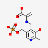 2-{[(E)-{3-hydroxy-2-methyl-5-[(phosphonooxy)methyl]pyridin-4-yl}methylidene]amino}prop-2-enoic acid