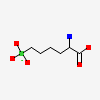 2(S)-AMINO-6-BORONOHEXANOIC ACID