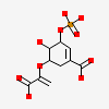 5-[(1-CARBOXYVINYL)OXY]-4-HYDROXY-3-(PHOSPHONOOXY)CYCLOHEX-1-ENE-1-CARBOXYLIC ACID