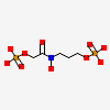 3-{hydroxy[(phosphonooxy)acetyl]amino}propyl dihydrogen phosphate