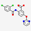 2-[(2,4-DICHLOROBENZOYL)AMINO]-5-(PYRIMIDIN-2-YLOXY)BENZOIC ACID