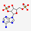 Nadph Dihydro-nicotinamide-adenine-dinucleotide Phosphate