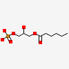 1-monohexanoyl-2-hydroxy-sn-glycero-3-phosphate