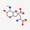 (2r,3ar,6s,7r,7ar)-2-[(2s)-2-Amino-2-Carboxyethyl]-6-Hydroxy-7-(Methylamino)hexahydro-2h-Furo[3,2-B]pyran-2-Carboxylic Acid