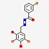 3-bromo-n'-[(1e)-(3,5-dibromo-2,4-dihydroxyphenyl)methylidene]benzohydrazide