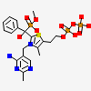 3-[(4-amino-2-methylpyrimidin-5-yl)methyl]-2-{(S)-hydroxy[(R)-hydroxy(methoxy)phosphoryl]phenylmethyl}-5-(2-{[(R)-hydroxy(phosphonooxy)phosphoryl]oxy}ethyl)-4-methyl-1,3-thiazol-3-ium