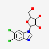 5,6-dichloro-1-beta-D-ribofuranosyl-1H-benzimidazole