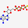 Atp-gamma-s; Adenosine 5'-(3-thiotriphosphate); Adenosine 5'-(gamma-thiotriphosphate); Adenosine-5'-diphosphate Monothiophosphate