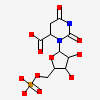 5,6-dihydroorotidine 5'-monophosphate