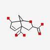 8-Hydroxy-2-Oxa-Bicyclo[3.3.1]non-6-Ene-3,5-Dicarboxylic Acid