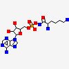 5'-o-{(r)-hydroxy[(l-lysylamino)oxy]phosphoryl}adenosine