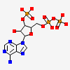 3'-phosphate-adenosine-5'-diphosphate