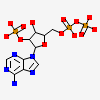 2'-monophosphoadenosine-5'-diphosphate