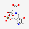 N-pyridoxyl-2-methylaspartic Acid-5-monophosphate