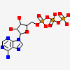 Adenosine-5'-Triphosphate