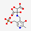 N-PYRIDOXYL-2,3-DIHYDROXYASPARTIC ACID-5-MONOPHOSPHATE