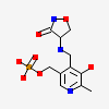 D-[3-HYDROXY-2-METHYL-5-PHOSPHONOOXYMETHYL-PYRIDIN-4-YLMETHYL]-N,O-CYCLOSERYLAMIDE
