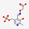 4'-DEOXY-4'-ACETYLYAMINO-PYRIDOXAL-5'-PHOSPHATE