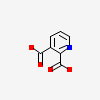 Quinolinic Acid