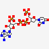 ADENYLATE-3'-PHOSPHATE-[[2'-DEOXY-URIDINE-5'-PHOSPHATE]-3'-PHOSPHATE]
