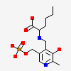 Vitamin B6 Complexed With 2-amino-hexanoic Acid
