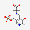 N-[3-Hydroxy-2-Methyl-5-Phosphonooxymethyl-Pyridin-4-Ylmethyl]-2-Methylalanine