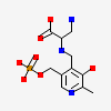 N-(5'-Phosphopyridoxyl)-D-Alanine