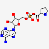 5'-O-[(R)-hydroxy{[(2S)-pyrrolidin-2-ylcarbonyl]oxy}phosphoryl]adenosine