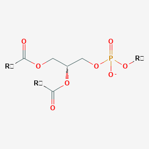 1,2-diacyl-sn-glycero-3-phospholipid