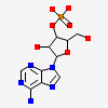[(2R,3S,4R,5R)-5-(6-aminopurin-9-yl)-4-hydroxy-2-(hydroxymethyl)oxolan-3-yl] dihydrogen phosphate