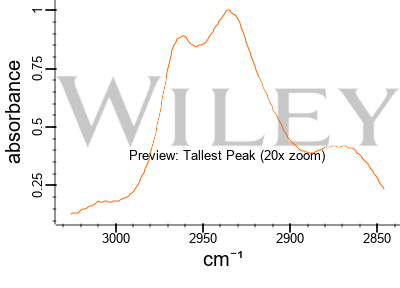 WellPatch - 2005 